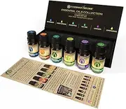 USDA Certified Organic Essential Oils Set- 100% Pure Aromatherapy Oils - Premium Quality Peppermint, Sweet Orange, Eucalyptus, Tea Tree, Lavender & Lemongrass Oils-, Free E-Book Included