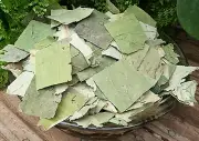 Premium Organic Lotus Leaf Tea, Nelumbo Nucifera, He Ye, Detox 25g - 250g