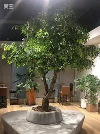 在飛比找樂天市場購物網優惠-美空石榴木仿真紫薇樹假樹落地大型植物裝飾樹酒店大廳造型樹擺件