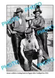 OLD 8x6 PHOTO GROUP PORTRAIT AUSTRALIAN SOLDIERS FROM GALLIPOLI c1916 EGYPT