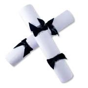 Bulk buy, Luxury, Christmas Snowfall, Ultra High Quality, Navy Blue Bow, Handmade Bon Bon - Box of 48 Units - Bonbon Crackers