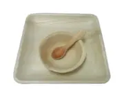 Palm Leaf Plates Bowl Spoon Bamboo Paper Disposable Set of 3 – Pack of 25