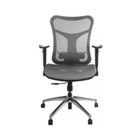 在飛比找蝦皮商城優惠-Backbone Viking 人體工學椅 台灣品牌 工作椅