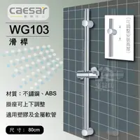 在飛比找蝦皮購物優惠-【東益氏】CAESAR凱撒衛浴 WG103 不鏽鋼滑桿 淋浴