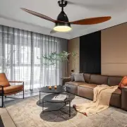 52”Ceiling Fan with LED Frosted Light and Remote Control for Living Room