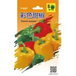 【翠筠用品】蔬菜種子F組