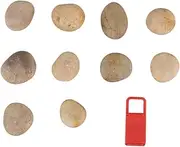 LOLIPPYY Set of 10 Hand-Painted Stones Boys and Girls Drawing Rocks with Bracket DIY Art Pebbles for Home School Projects