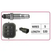 RAE Oxygen Sensor - OX483