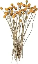 domoi 40Pcs Dried Craspedia Flowers Dried Button Balls Flowers,Dried Flower Bouquet for Arrangements Wedding Home Decor