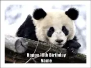 Panda Bear Edible Cake Toppers Icing Birthday Cake Animal Decorations (2 Sizes)