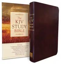 在飛比找誠品線上優惠-Study Bible-KJV