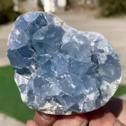 330G Natural Blue Celestite Geode QuartzCrystal Mineral Specimen Healing