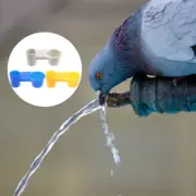 15 Pcs Pigeon Drinking Fountain Feeding Bowl Bird Water Dispenser