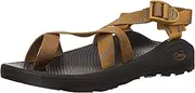 [Chaco] Women's Zcloud 2