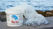 Bait Buster 12 ft. Radius 5/8" Sq. Mesh Bait Cast Net CMN-BB12 by Lee Fisher