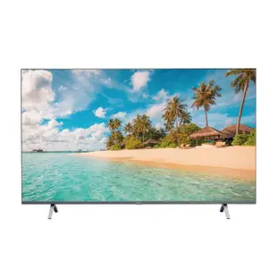 【Panasonic 國際牌】65型4K連網液晶智慧顯示器(TH-65MX650W)