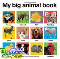 在飛比找樂天市場購物網優惠-[106美國直購] 2017美國暢銷兒童書 My Big A