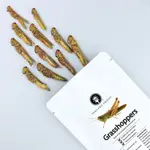 🪲泰國 蟲餅 THAILAND UNIQUE 食用【翅稻蝗】🪲EDIBLE GRASSHOPPERS