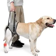Dog Lifting Harness, Adjustable Carrying Harness, Dog Harness, Large Dogs with Sponge Handle, Portable Dog Harness for The Hind Legs, Sick or Operated Dogs