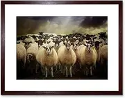 Sheep Flock Farm Animal Art Framed Wall Art Print