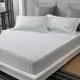 【Austin Home 奧斯汀寢飾】SNOOPY雙人加大床包三件組/天絲棉/睡個好覺系列(雙人加大 6x6.2)