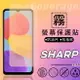 霧面螢幕保護貼 SHARP 夏普 AQUOS R8s pro SH-R80P 保護貼 軟性 霧貼 霧面貼 保護膜 手機膜