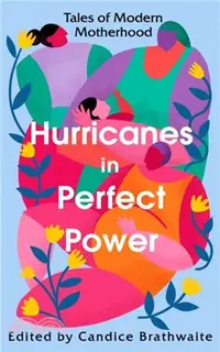 在飛比找三民網路書店優惠-Hurricanes in Perfect Power：Ta