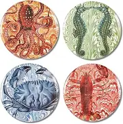 [Thomas Paul Melamine] Palm Beach Dinner Plates S/4 Assorted