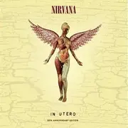 In Utero (20th Anniversary Edition)