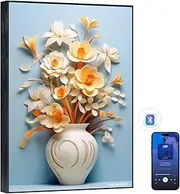 THOMSON Wireless Bluetooth Speakers with Remote Control,Art Painting Decoration Speakers Wall Mounted,Built-in Battery, Suitable for Bedroom, Office, Living Room, Hotel, Restaurant