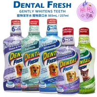 在飛比找蝦皮購物優惠-Dental Fresh 寵物潔牙水 漱口水 503ml 6