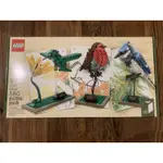 樂高 LEGO 21301 BIRD ~已絕版~歡迎下標