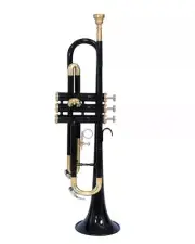 Trumpet Black Color Bb Fully Brass Made come with hardcase and mouthpiece.