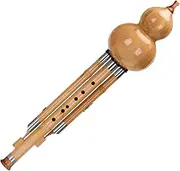 Hulusi Flute Musical Instrument Hulusi with Case Chinese Traditional Hulusi Professional Playing Hulusi Calabash Flute