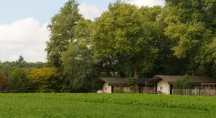 Atmospheric tent lodge with dishwasher, in Twente