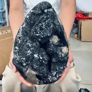 9.46LB TOP Natural Dragon Septarian geode Quartz Crystal egg mineral Specimen