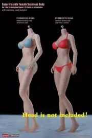 1/6 Seamless Female Body Action Figure Pale Asian Slim Tbleague For 12in Doll