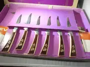 Vintage Fleur D'or Stainless Steel Steak Knives & Carving Set In original Box