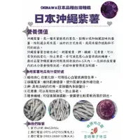 在飛比找蝦皮購物優惠-沖繩紫迷你地瓜+金時栗子迷你地瓜10台斤2種口味如果沒指定都