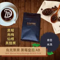 在飛比找蝦皮購物優惠-新鮮現烘咖啡豆 肯亞 烏克栗栗 黑莓皇后 AB 水洗 淺中焙