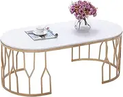 L31.5×W15.7×H17.7 Marble Coffee Table, Oval Mid Century Modern Coffee Table for Living Room/Office Decoration, Metal/Faux Marble