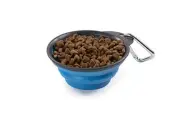Dexas PW2004322194 Collapsible Travel Cup