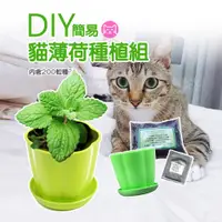 在飛比找蝦皮購物優惠-《小橙花寵物》DIY簡易貓薄荷種植組 貓草種植  貓薄荷種子