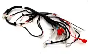 New Wiring Loom Genuine APACHE quad RLX 100