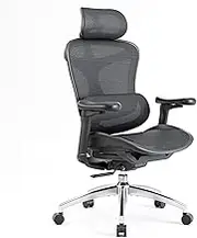SIHOO Doro C300 Ergonomic Office Chair with Ultra Soft 3D Armrests, Dynamic Lumbar Support for Home Office Chair, Adjustable Backrest Desk Chair, Swivel Big and Tall Office Chair(Black)