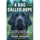 A Dog Called Hope: A Wounded Warrior and the Service Dog Who Saved Him