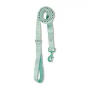 Juni Logo Bungee Dog Lead Green 152cm