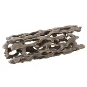 Exo Terra Cholla Cactus Skeleton - Large (PT2989)