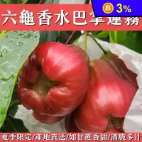 在飛比找生活市集優惠-產地直送六龜香水巴掌蓮霧5斤 中果/大果