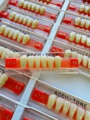 Acrylic Resin False Teeth Accu-tone Anterior lower C3/69-A24 dentures box 120pcs
